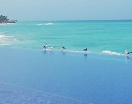 Почивка в Дидим със собствен транспорт