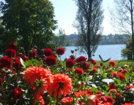 Бодензее - Баварски замъци - Залцбург - Мюнхен
