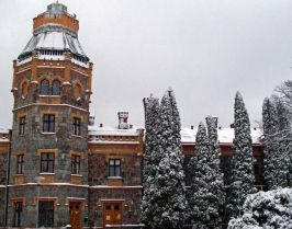 Коледни базари в Рига