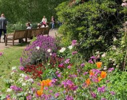 Категория A