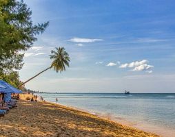 Настаняване в 4* или 5*