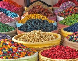 Настаняване по програма Мароко 2026 - от Имперските столици до загадките в Сахара