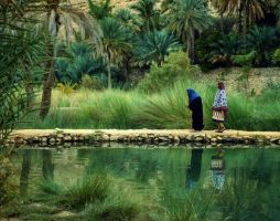 Настаняване по програма Оман - величествени каньони, зелени оазиси, древни крепости и топло гостоприемство от София - 2026