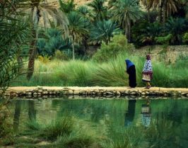 Оман - величествени каньони, зелени оазиси, древни крепости и топло гостоприемство от София - 2026