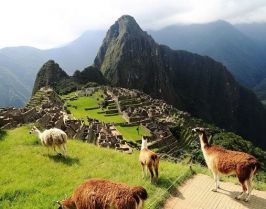 Загадките на Перу - Пътешествие до великата и мистериозна империя на инките от София - 2026