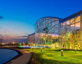 СПА Уикенд - Термите на Букурещ