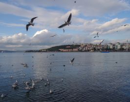 Морски приключения в Чанаккале и о-в Бозджаада