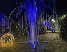 Вълшебен коледен уикенд в Крайова - Рамада Плаза 4*