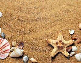 Почивка в Айвалък