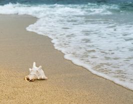 Почивка в Белек, Анталия