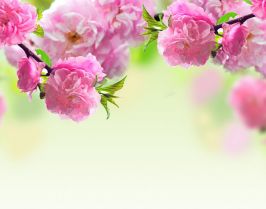 Майски празници - Палма де Майорка