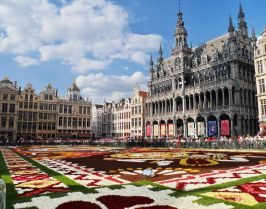 Брюксел - Килим от цветя, със самолет и обслужване на български език