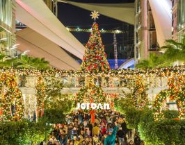 Коледа в Йордания - 4 нощувки, обиколна програма с ДИРЕКТЕН полет от София на Ryanair!