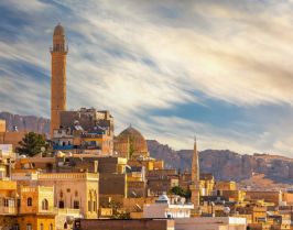 Екскурзия в Турция - Месопотамия - самолетна програма