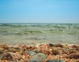 Почивка в ЕГИПЕТ - ШАРМ ЕЛ ШЕЙХ - Специална ваканционна програма за всички възрасти!