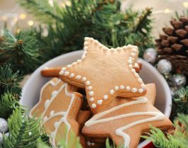 Нова година в Суботица - със собствен транспорт