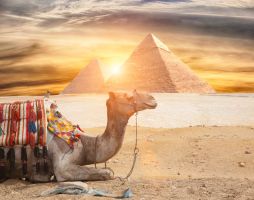 Sunrise Alora Aqua Park Resort - All Inclusive