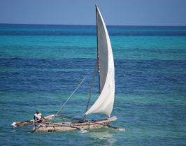 Следпразнична почивка на о-в Занзибар, група с водач, 23.01.2026г.