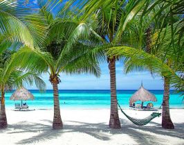 Синьо карибско лято, Доминикана, м. 01 и м.02 2026г.