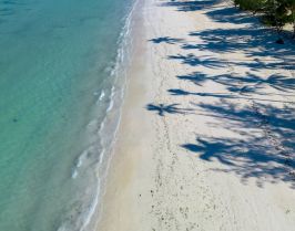 Почивка Занзибар, 16 - 25.10.2026, група с водач