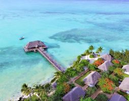 Reef And Beach