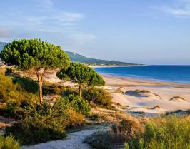 НОВА ГОДИНА в южна Испания, на брега на Испанските Кариби - Кадис и Коста де ла Лус! С включена обиколка на Кордоба и Мадрид!