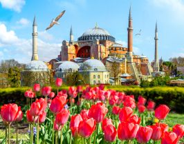 Фестивал на лалетата в Истанбул, Турция с автобус от Варна - 3 нощувки