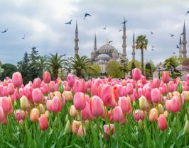 Великден в Истанбул - Фестивал на лалетата с автобус от София - 3 нощувки