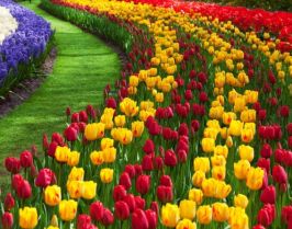 Великден в Истанбул, Турция - Фестивал на лалетата с автобус от Варна - 3 нощувки