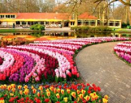 Великден в Истанбул, Турция - Фестивал на лалетата с автобус от Русе и Велико Търново - 3 нощувки