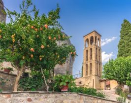 Великден в Солун, Метеора, Вергина и Едеса от Варна