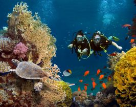 Почивка в Кайро и Шарм ел Шейх, Египет със самолет от София - кацане в Кайро и връщане от Шарм ел Шейх