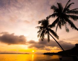 Почивка в Дидим, Турция с автобус от София- 12 нощувки