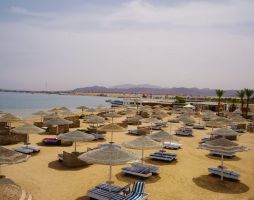 EAGLES PARADISE ABU SOMA