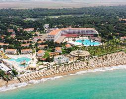 SELECTUM NOA BELEK