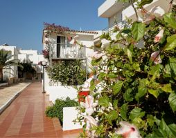 CRETAN GARDEN