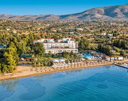 BROWN BEACH EVIA ISLAND