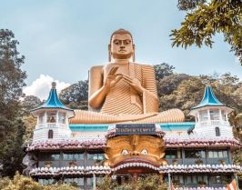 Шри Ланка – остров на древни храмове, чаени плантации и златни плажове с полет от Варна