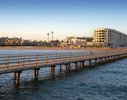 Gravity Sahl Hasheesh Premium