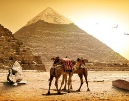 Перлите на Египет - Кайро и Хургада с полет от Пловдив - ПРОЛЕТ 2026