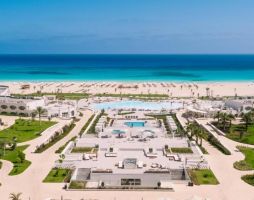 Cleopatra Sidi Heneish Premium