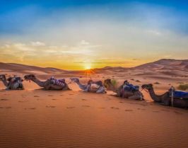 Средиземноморски Шепот - От Малага до Маракеш с полет от София 02.04