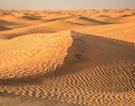 Тунис от А до Я - полет от София - 2026