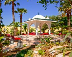 Samira Club Standard