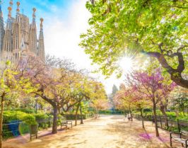 Бордо и Страната на Баските– пътешествие между Франция и Испания