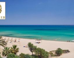 SIMBA CLUB - Nozha Beach Superior