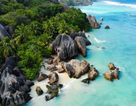 ПОЧИВКА НА СЕЙШЕЛИТЕ С ПОЛЕТ ОТ СОФИЯ / ПАКЕТНИ ЦЕНИ ЗА ОКТОМВРИ - НОЕМВРИ 2025 / 7 НОЩУВКИ, 10 ДНИ