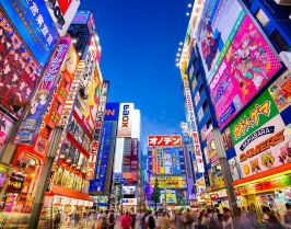 ГРАНД ТУР 2026 - ЯПОНИЯ И ЮЖНА КОРЕЯ ПО ВРЕМЕ НА ВИШНИТЕ / ПРОГРАМА С 12 НОЩУВКИ, 14 ДНИ / ДАТИ: 26.02.2026 - 12.03.2026