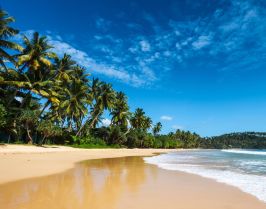 АПРИЛСКА ВАКАНЦИЯ 2026 В ШРИ ЛАНКА / ПОЧИВКА - 8 НОЩУВКИ, 11 ДНИ / ДАТИ: 27.03.2026 - 05.04.2026