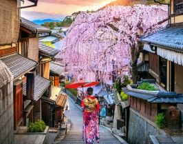 ЯПОНИЯ 2026 / САКУРА И САМУРАИ - ПРОЛЕТНА ФЕЕРИЯ / ПРОГРАМА С 8 НОЩУВКИ, 10 ДНИ / ДАТИ: 24.02.2026 - 05.03.2026